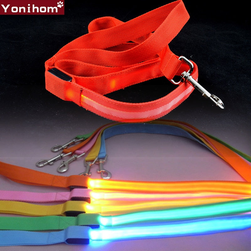 Reflective LED Dog Leash